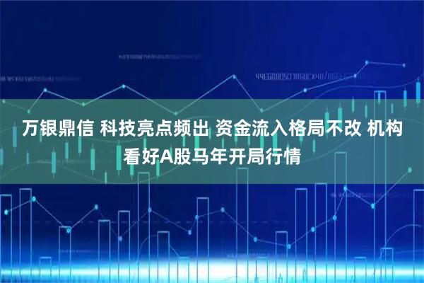 万银鼎信 科技亮点频出 资金流入格局不改 机构看好A股马年开局行情