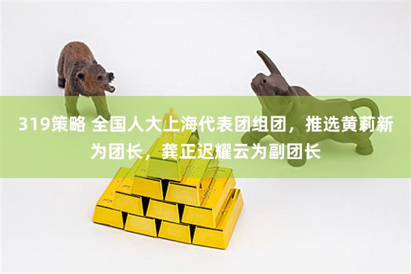 319策略 全国人大上海代表团组团，推选黄莉新为团长，龚正迟耀云为副团长