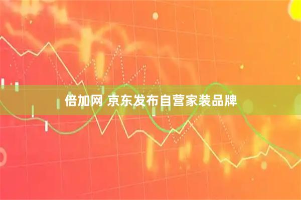 倍加网 京东发布自营家装品牌