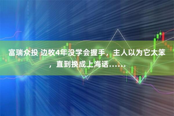 富瑞众投 边牧4年没学会握手，主人以为它太笨，直到换成上海话……