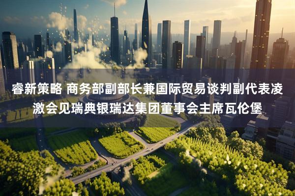 睿新策略 商务部副部长兼国际贸易谈判副代表凌激会见瑞典银瑞达集团董事会主席瓦伦堡