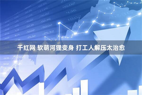 千红网 软萌河狸变身 打工人解压太治愈