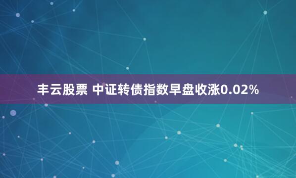 丰云股票 中证转债指数早盘收涨0.02%