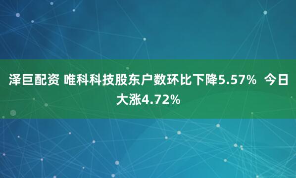 泽巨配资 唯科科技股东户数环比下降5.57%  今日大涨4.72%