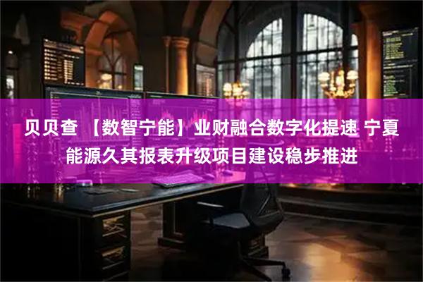 贝贝查 【数智宁能】业财融合数字化提速 宁夏能源久其报表升级项目建设稳步推进
