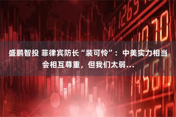 盛鹏智投 菲律宾防长“装可怜”：中美实力相当会相互尊重，但我们太弱…
