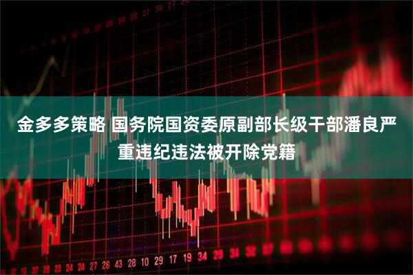 金多多策略 国务院国资委原副部长级干部潘良严重违纪违法被开除党籍