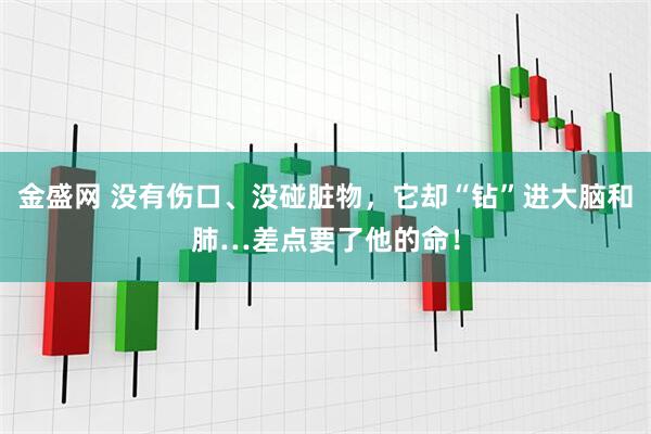 金盛网 没有伤口、没碰脏物,它却“钻”进大脑和肺…差点要了他的命!