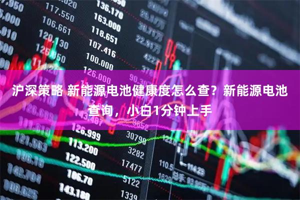 沪深策略 新能源电池健康度怎么查?新能源电池查询,小白1分钟上手