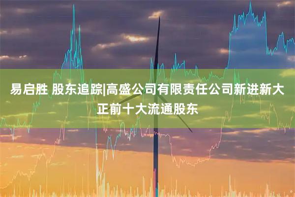 易启胜 股东追踪|高盛公司有限责任公司新进新大正前十大流通股东