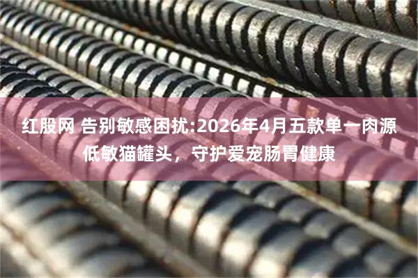 红股网 告别敏感困扰:2026年4月五款单一肉源低敏猫罐头，守护爱宠肠胃健康