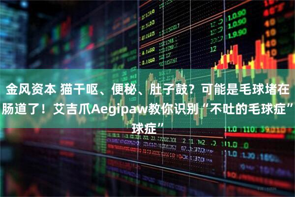 金风资本 猫干呕、便秘、肚子鼓？可能是毛球堵在肠道了！艾吉爪Aegipaw教你识别“不吐的毛球症”