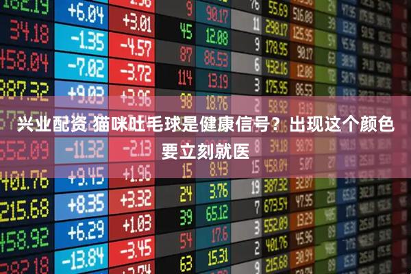 兴业配资 猫咪吐毛球是健康信号？出现这个颜色要立刻就医