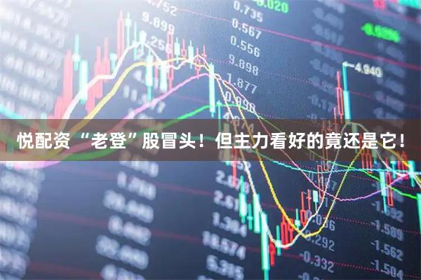 悦配资 “老登”股冒头！但主力看好的竟还是它！