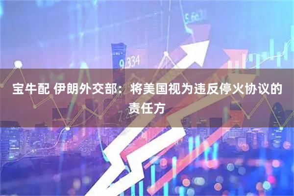 宝牛配 伊朗外交部：将美国视为违反停火协议的责任方