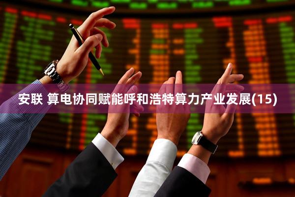 安联 算电协同赋能呼和浩特算力产业发展(15)