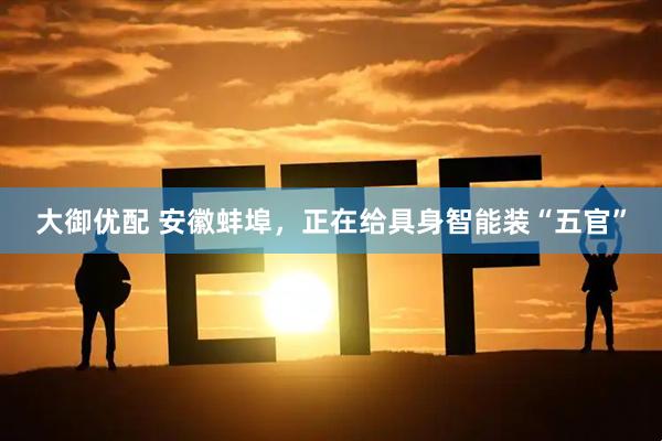 大御优配 安徽蚌埠，正在给具身智能装“五官”