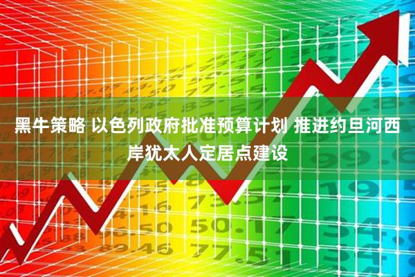 黑牛策略 以色列政府批准预算计划 推进约旦河西岸犹太人定居点建设