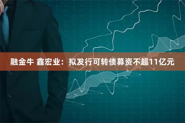 融金牛 鑫宏业：拟发行可转债募资不超11亿元